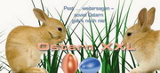 e-pm Mailingaktion - Artikel-Nr. 516176 Ostern xxl - Mailing Karte 

Ostern