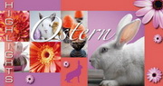 e-pm Mailingaktion - Artikel-Nr. 616987 Ostern Highlights - Mailing 

Maxikarte Ostern